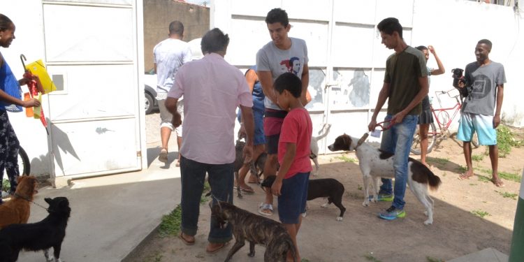 Centro de Controle de Zoonoses intensifica vacinação contra a raiva