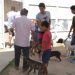 Centro de Controle de Zoonoses intensifica vacinação contra a raiva
