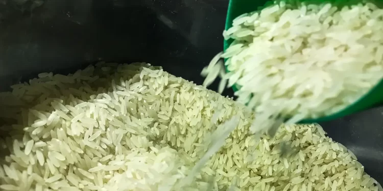 Governo Federal autoriza importação de arroz