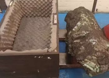 Receita Federal leiloa pedra preciosa com esmeraldas encontrada na Bahia; valor mínimo é de R$ 115 milhões