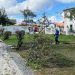 Prefeitura intensifica zeladoria e limpeza na praça do distrito de Maria Quitéria para o São João