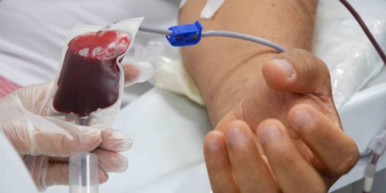 Prefeitura de Feira lança campanha de incentivo à doação de sangue