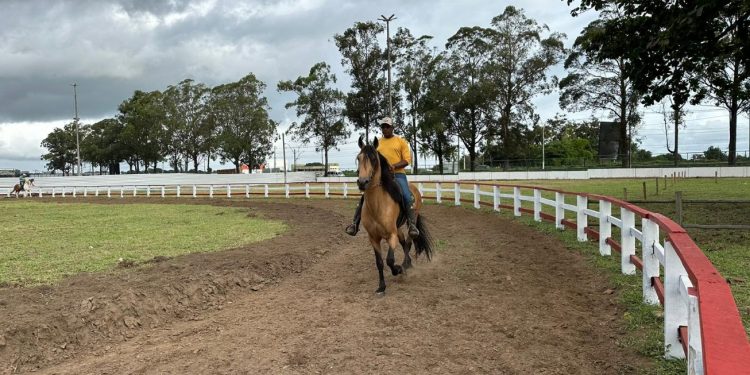 Expo Portal marca retorno de eventos no Parque de Exposição neste final de semana
