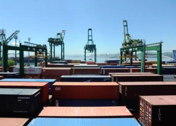 Exportações do agro: recorde de aberturas de mercados em maio