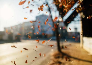 Inverno começa nesta sexta-feira e deve ter temperaturas acima da média