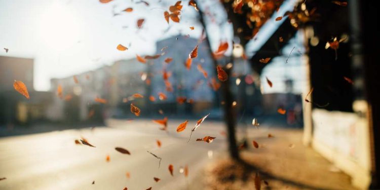 Inverno começa nesta sexta-feira e deve ter temperaturas acima da média