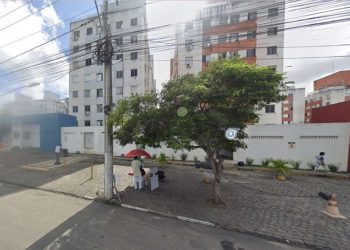 SEMMAM determina que condomínio faça o replantio de árvores removidas em local adequado