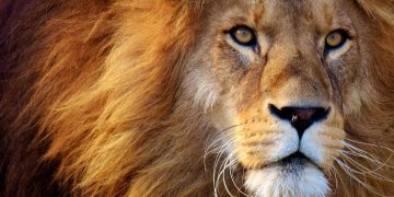 Receita recebe 42,4 milhões de declarações de Imposto de Renda