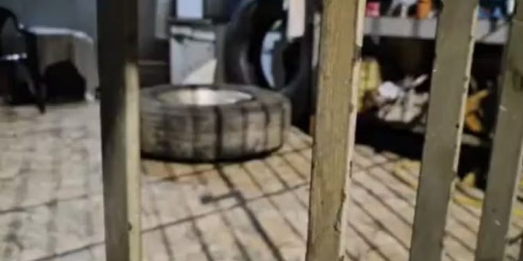 Criança de dois anos morre após ser atingida por pneu de carreta em Feira de Santana