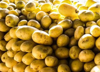 Batata-inglesa e leite longa vida puxam inflação em junho