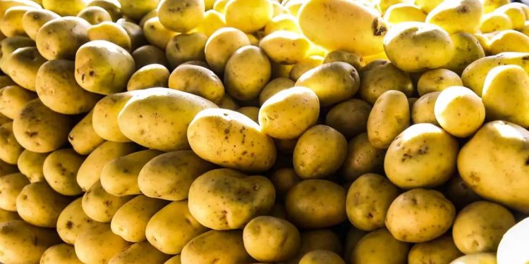 Batata-inglesa e leite longa vida puxam inflação em junho