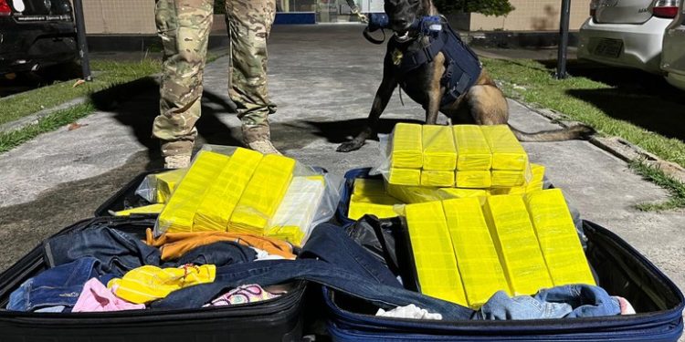 PRF apreende mais de 50 kg de maconha em ônibus de turismo em Feira de Santana