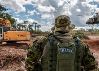 Concurso do Ibama com 260 vagas e salário de R$ 8,8 mil é autorizado