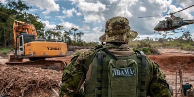 Concurso do Ibama com 260 vagas e salário de R$ 8,8 mil é autorizado