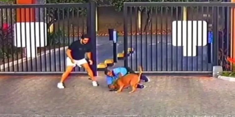 Pitbull foge e ataca porteiro em Feira de Santana