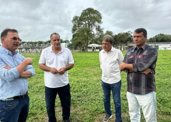 Revitalização do Parque João Martins da Silva em ritmo acelerado para a Expofeira