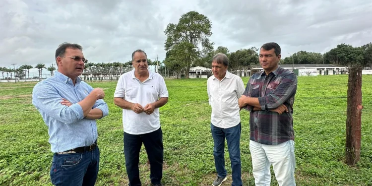 Revitalização do Parque João Martins da Silva em ritmo acelerado para a Expofeira