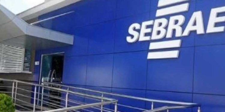 Sebrae Bahia anuncia vagas para cargos de analista com salários entre R$ 6 e 9 mil