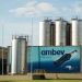 Ambev abre vagas de emprego com salários de até R$ 8,5 mil