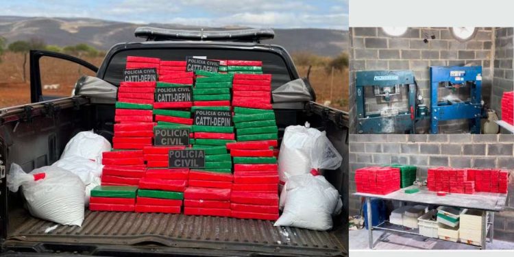 Bahia registra maior apreensão de cocaína de 2024