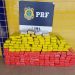 PRF apreende quase 100 Kg de entorpecentes em Feira de Santana