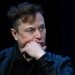 Termina prazo para Musk indicar representante do X no Brasil