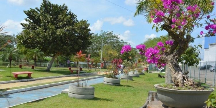 Parques da Lagoa e da Cidade abrem normalmente neste domingo