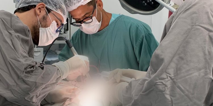 Trabalho do Hospital Clériston Andrade sobre Traumas Faciais é Destaque no Maior Congresso de Bucomaxilofacial da América Latina