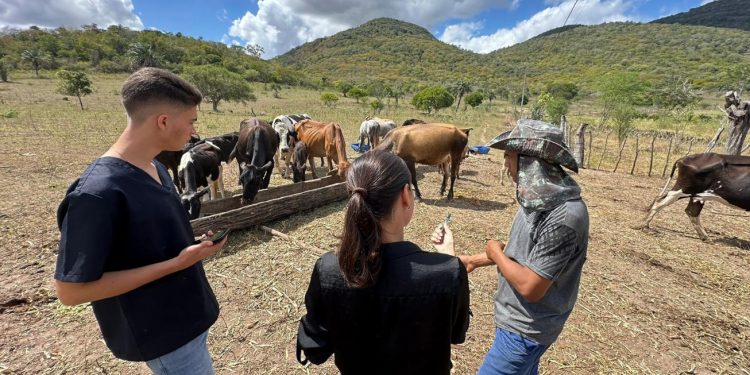 Seagri realiza cadastro para o Programa Mais Pecuária Brasil em Jaguara