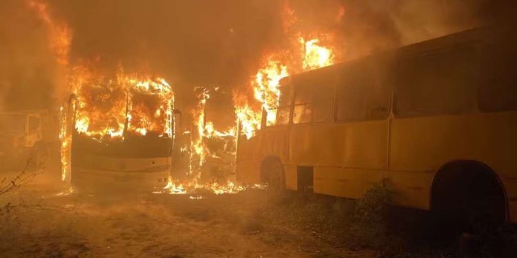 Amigos fumam maconha dentro de ônibus municipal e bituca de cigarro causa incêndio em três veículos na BA