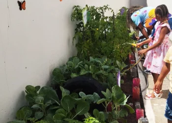 Plantar e colher: a horta como terapia e ferramenta de inclusão para as crianças autistas