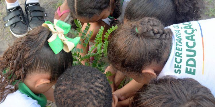 Feira de Santana celebra Dia da Árvore com ações de arborização e educação ambiental