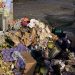 Feira: quatro pessoas conduzidas para a delegacia por descarte de lixo nas imediações do CSU