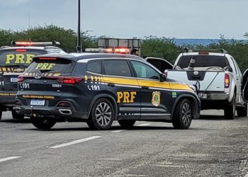 PRF apreende quase meia tonelada de maconha em Rafael Jambeiro