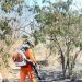 Doze municípios baianos registram incêndios florestais neste fim de semana