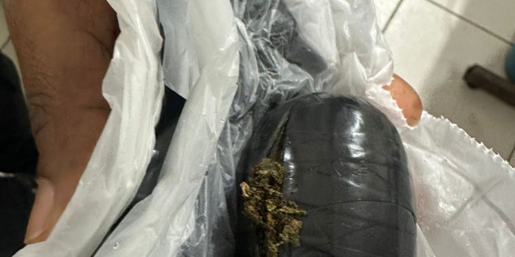 Mulher é presa em flagrante por tráfico de drogas em Serrinha