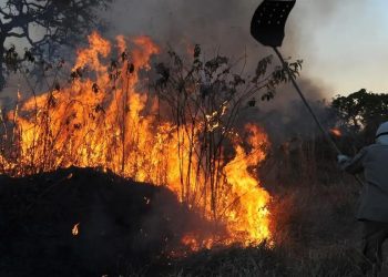 Brasil tem aumento de 107% nos focos de incêndios florestais