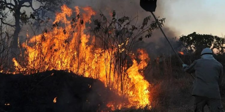 Brasil tem aumento de 107% nos focos de incêndios florestais