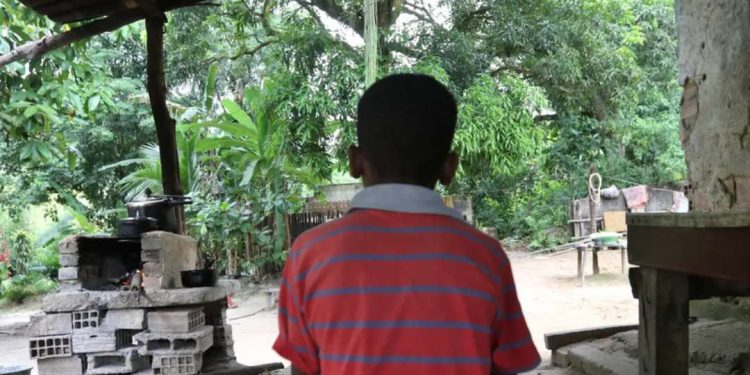 Bahia e mais 8 estados têm famílias vivendo em condições precárias devido a fracasso da reforma agrária no Brasil
