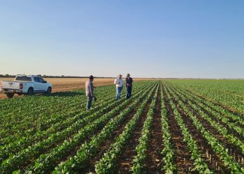 Bahia possui 8,5 mil engenheiros agrônomos registrados no Crea-BA