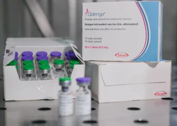 Fiocruz oficializa pedido para produzir vacina contra dengue no Brasil