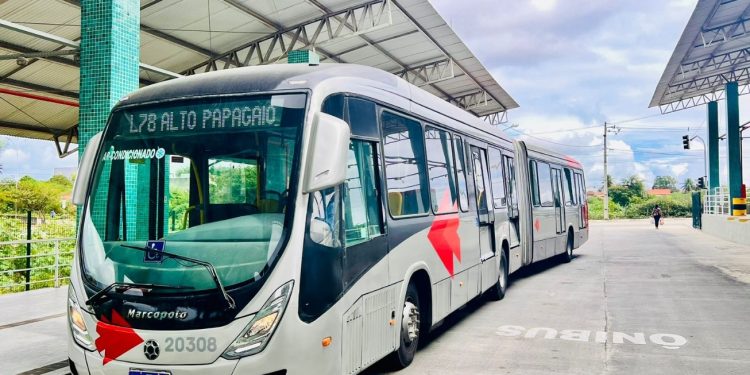 Transporte gratuito e 50 ônibus extras reforçam mobilidade neste domingo de eleição