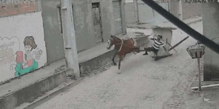 Idoso perde controle de carroça após pneu bater em meio-fio e assustar cavalo em Feira de Santana