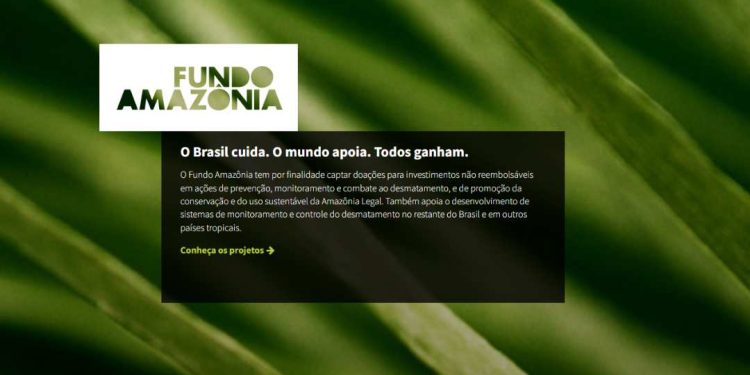 Noruega anuncia doação de US$ 60 milhões ao Fundo Amazônia