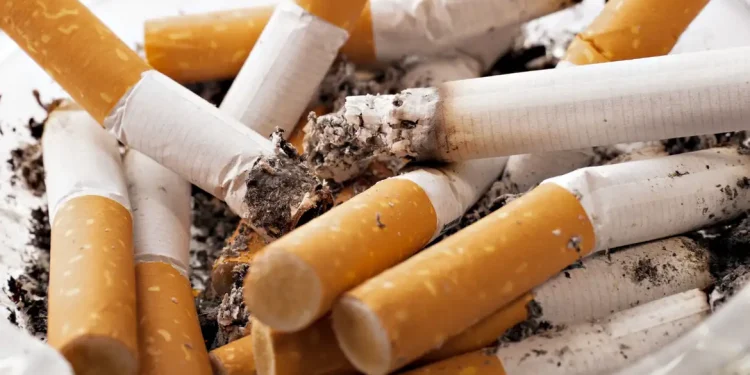 Órgãos federais buscam fechar cerco a comércio ilícito de tabaco