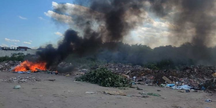 Feira: descartar lixo de forma irregular representa risco de incêndios