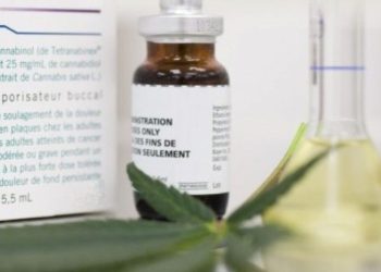 Bahia é o 5º estado com mais pacientes em tratamento com cannabis medicinal no Brasil