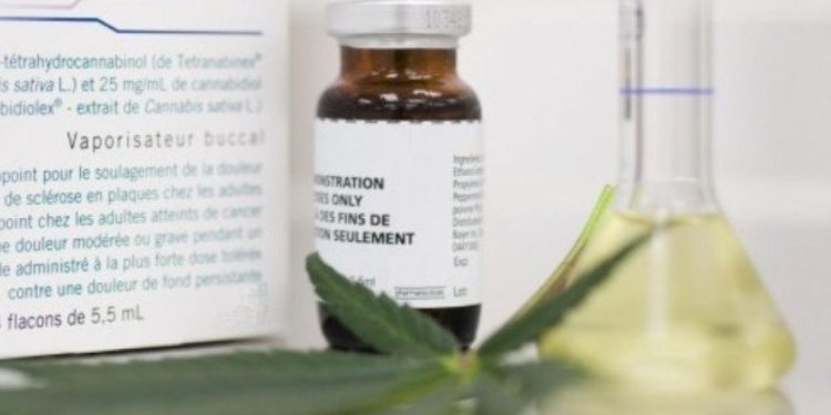 Bahia é o 5º estado com mais pacientes em tratamento com cannabis medicinal no Brasil