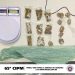 Polícia Militar realiza apreensão de drogas no Conjunto Feira VII
