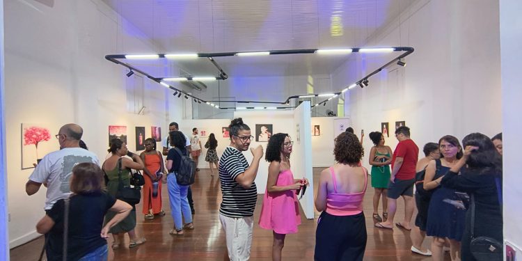 Cuca abre inscrições para propostas expositivas na Galeria de Arte Carlo Barbosa